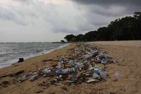 Praia em Singapura - Foto de Vaidehi Shah